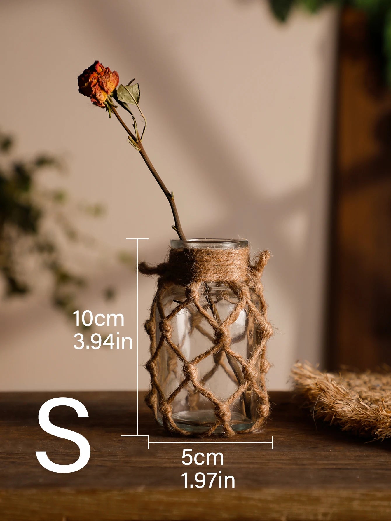 Rustic Hanging Glass Vase
